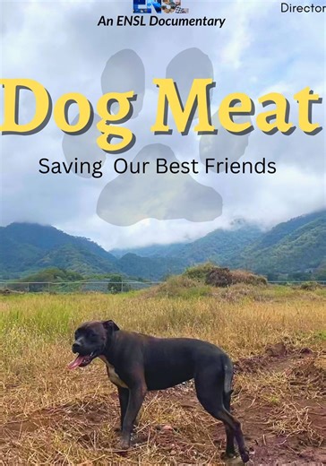 Dog Meat: Saving Our Best Friend streaming online