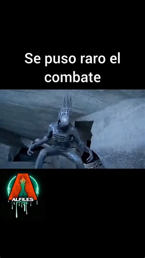 Alfiles 🇦🇷 on Instagram: "Película: ALIEN VS. NINJA #bizarro #cinebizarro #alfiles #alien #ninja"