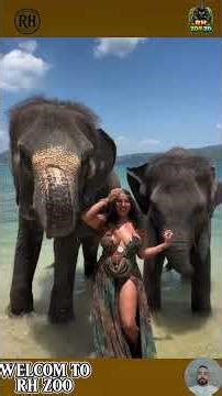 Funny Animals Caught On Camera #animals