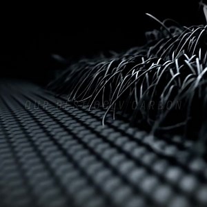 6.8K views | 800 Series OCLV Carbon | Trek Bicycle | Facebook