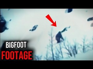 The Most TERRIFYING Bigfoot Encounters Ever Caught While Hiking