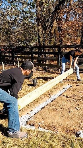 262K views · 668 reactions | New Shed video up on YouTube! #shed #diy #build #woodworking #garden #fixthisbuildthat | Fix This Build That | Facebook