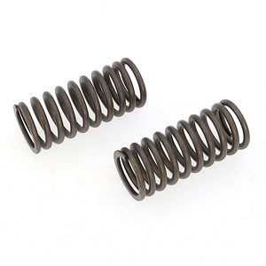 [Hot Item] Jinan Engine Parts Valve Spring, Inner Z12V. 03.17A for Generator Unit