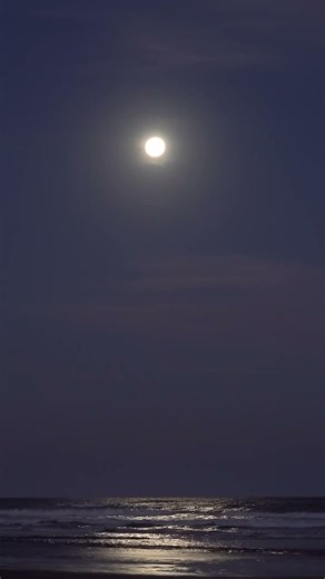 Moonlit Ocean Sounds | Sleep for Hours