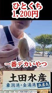 道の駅象潟ねむの丘で激ウマな岩牡蠣 秋田県にかほ市