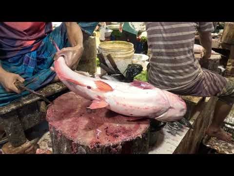 How to Cut Pangasius Fish | Easy Cleaning & Cutting Tutorial