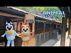 Bluey's Wild World Wildlife Express Train POV | Disney's Animal Kingdom 2026