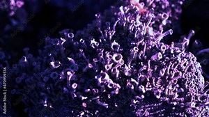 Colorful (velvet violet) macro shot of lichen and mosses growing on an old fence post - fairytale, close up, 4K