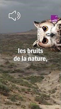 Écoutez un Homme de Néandertal vous parler