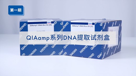 「红与蓝」之QIAamp DNA系列提取试剂盒