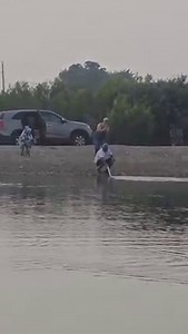 58K views · 1.1K reactions | Catfishermans Paradise on Reels | Facebook