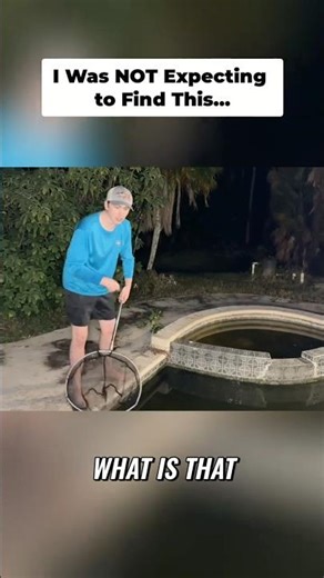 Exploring an Abandoned Pool Filled with Rare Creatures... #rare #fish #lizard #abandoned #animals