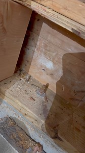 Lo despedimos por equivocarse? | Como Hacerlo