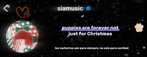 sia - puppies are forever - chicos en esta canción Sia nos habla de un tema muy importante que es la adopción en vez de la compra, hay muchos cachorritos en espera de ser adoptados, en busca de un buen dueño, si tu quieres un amigo perruno, que la adopción sea tu prioridad, son seres vivos que aveces la pasan muy mal y merecen un buen hogar créeme que un cachorrito de compañero tu vida cambia para bien ❤️ | Sia News Mx