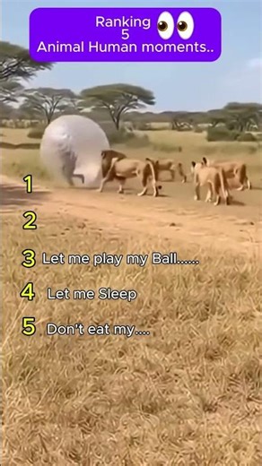 Animal Vs Humans fights 🤣 #funnyanimals #dogfails