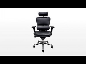 Raynor Ergohuman Chair Assembly Review