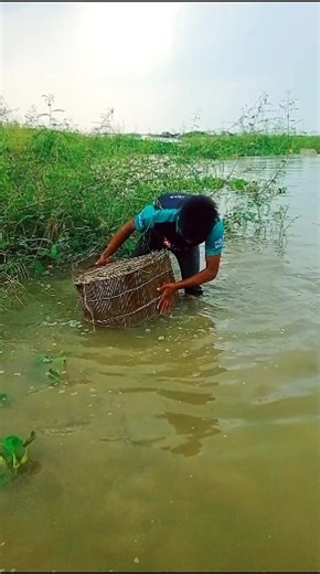 Different Types of Amazing Fish Traps #fishing #fishinglife #shorts