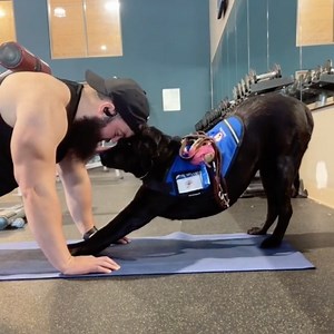 118K views · 3K reactions | This man and his service dog prove why dogs are man's best friend 殺 | Lovimals | Facebook