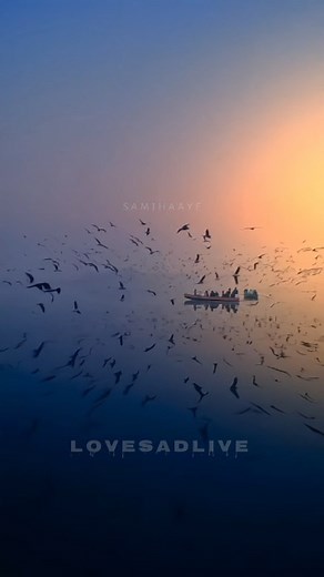 Dharamendr Vaghela on Instagram: "Kese bataye 🍂 ❤️ . . . . . kaise bataye kyu tujhko chahe,kaise bataye kyun tujhko chahe,kaise bataye kyun tujhko chahe whatsapp status,kaise bataye kyun tujhko chahe status,kaise bataye kyu tujko chahe,kaise bataye kyun tujhko chahe song,kaise bataye kyun tujhko chahe yaara bata na paye,kaise bataye ki tujko chahe,kese bataye kyu tumko chahe,kese bataye kyu tumko chahe yata batana paye,kaise bataye tujko chahe,kaise bataye tujko chahe song,kaise bataye ki tujhk