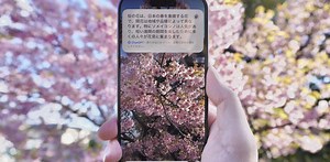 ｢Apple Intelligence｣のはじめかた：日本語OK、iPhoneで使えるAI