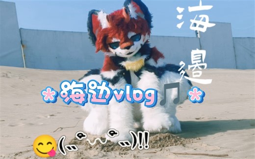 今天去了海边！海风凉凉的很舒服(*´I`*)遇到了很多有趣的事情hhh 别再吞我画质了。。