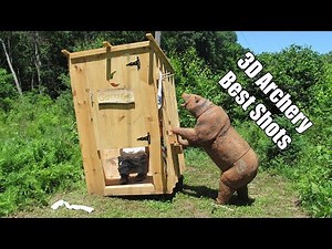 Best 3D Archery Shots