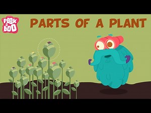 Science - Parts of a Plant