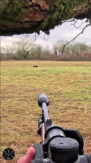 PERFECT SHOT ON RUNNING WILD BOAR | HUNTING POV 4K