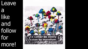 In this Gelli print I created a stencil so that only a few of the mushrooms would have any colour. I'm quite happy with how it turned out. @westendartcollective. For more: linktr.ee/keith_paints_weird_things Shop: https://shop.keithpaintsweirdthings.com/ #galway #artistsoftiktok #artist #art #acrylics #printmaking #printing #gelli #gelliarts #gelliart #gelliartists #mushroom #mushroomart #mycellium