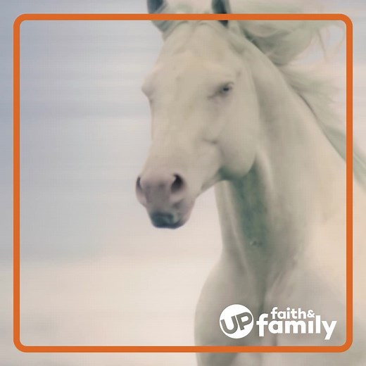 Mystic is NOW STREAMING exclusively on UP Faith & Family! New episodes EVERY WEEK! | UP Faith & Family