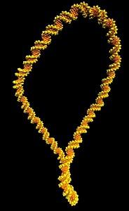 33K views · 844 reactions | Researchers have utilised atomic force microscopy and atomistic molecular dynamics simulations to resolve structures of negatively-supercoiled DNA minicircles at base-pair resolution. Read the paper, published in Nature Communications, here: https://go.nature.com/3qbcsgt | Nature Portfolio | Facebook