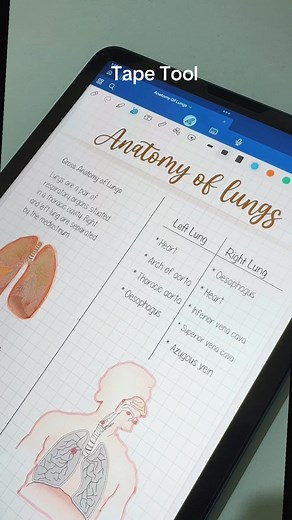 Cover parts of your notes and uncover them with just a quick tap! #fyp #edit #Goodnotes