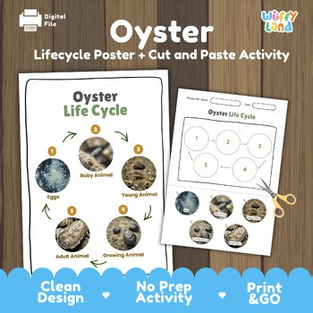 Oyster Life Cycle Chart & Cut and Paste Activity | Ocean Mollusk Biology