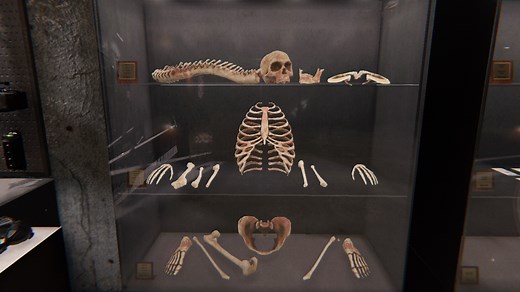 How to find bone evidence in Phasmophobia