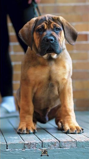 Every Time You See Him, He’s Bigger Than Before