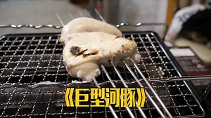 看一下日本如何宰杀巨型河豚和料理的