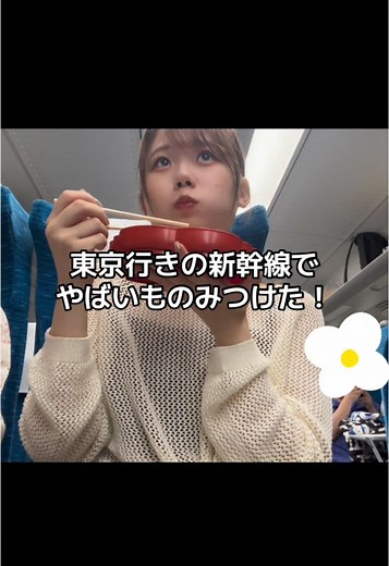 新幹線で味わう駅弁の魅力