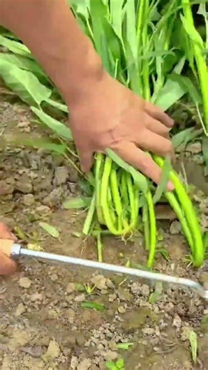 cutting wood block using sharp blade tool and rotating machinery for precise woodworking workshop