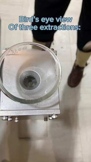 15K views · 142 reactions | A different sort of view of extractions from today: various carpet vipers. If you look closely you can see the variation in their head shapes. #coolsnakes #vipers #venomislife #venomoussnake #reptiles #reptilezoo #herpetology #snake #reptile #kyreptilezoo #snakes #echis #view #from #viewfromabove #birdseyeview | Kentucky Reptile Zoo | Facebook