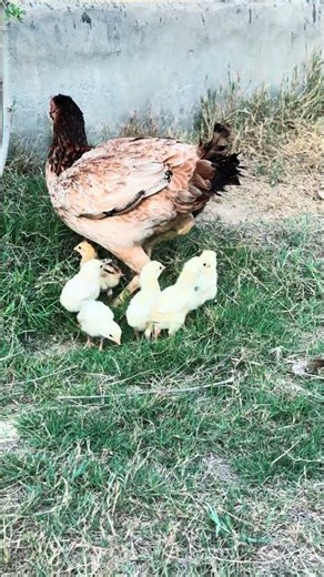 She Raised Them the Natural Way