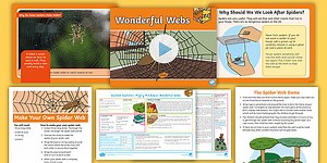Outdoor Explorers EYFS Autumn Lesson 6: Wonderful Webs Lesson Pack