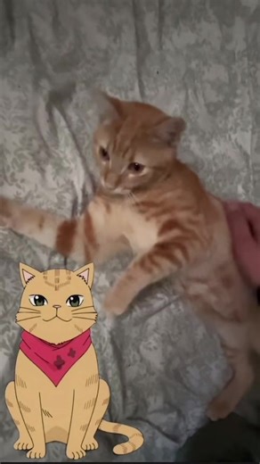 Understanding Saiki's Chill Personality