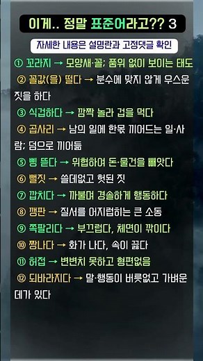 이게 표준어라고?! 욕처럼 들리지만 ‘사전에 있는 말’ 12가지 #시니어 #상식 #표준어 #국어 #우리말