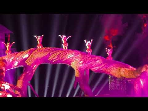 Tianmen Fox Fairy Show - Zhangjiajie - Hunan -China