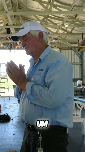 Boat Rigging: Fin Alignment and Wing Rigger Stability