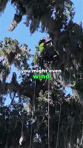 Job Safety - Avoid Injuries, Lawsuits, OSHA Fines, & Jail Time