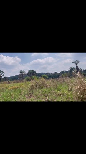 Un des mes chantiers en Rdc🇨🇩 One of my construction sites in Congo 🇨🇩 | AWILO LONGOMBA