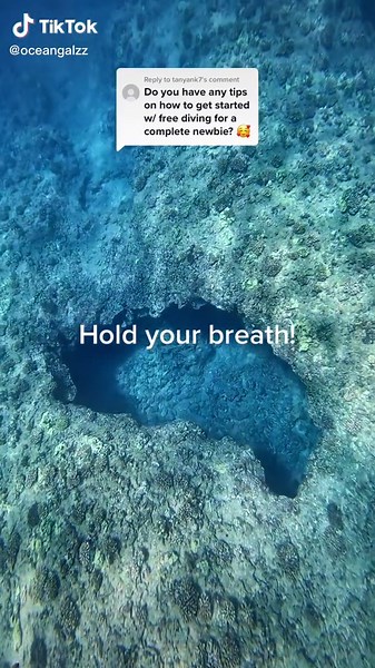 Reply to @tanyank7 Here’s some tips for how to start freediving! #freedive #shark #ocean #howto #tips #learn #holdyourbreath #diving #divetok #fyp #foryoupage