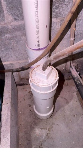 Why Is This Tube Connected to the Sewer?