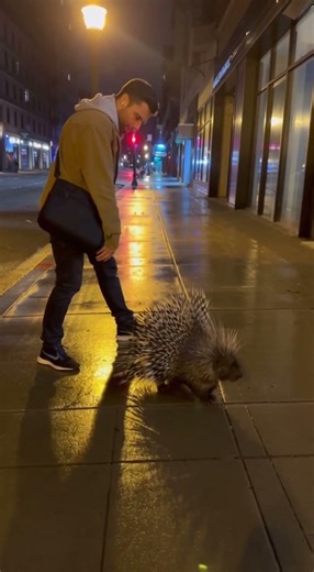 A Quiet Street… Then This Happened